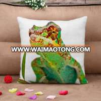 Colorful Green Chameleon HD 3d Bed or Throw Cushion